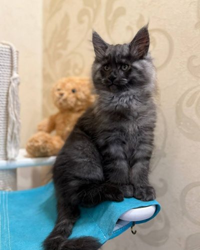 4b6910c1-21f5-477e-9ee0-d8a282bd8acd