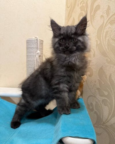 4b76fe85-13ad-47d2-9744-6e9fa632988b