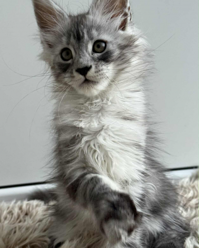 516996AE-413D-4C70-9BD3-89D20254BC2E