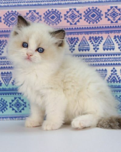 51746cc5-1b00-489e-bc34-880c909328ac