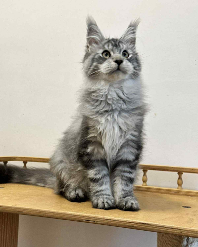 51E39F8F-6090-443E-BFF3-1E81040B8641