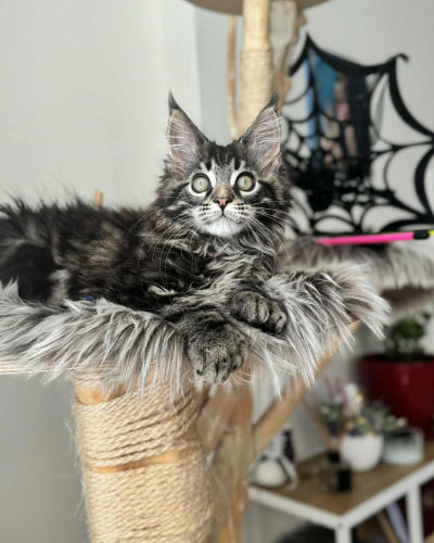 51EEDFA0-562C-41B2-AFF8-0DB1D902BD45