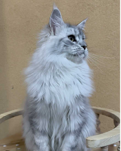 5276EB29-C614-4352-861E-C003B9723BB5