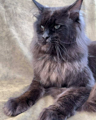 531F90EF-1DD0-466E-8081-A4002531B95B