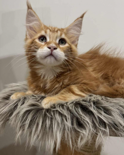 53F2D2E7-D214-4871-95A9-791F566729A8