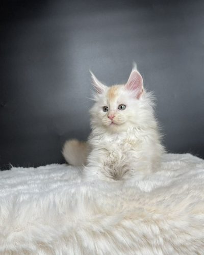 545dfc96-aedc-46d6-91aa-7c5c1982e56c