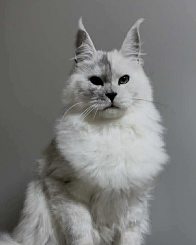 549915AB-EDED-4C7E-AD15-A480EA398114