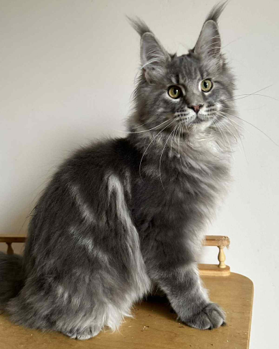 550E747C-C12F-4E0D-B81C-9912CAAFA0CD