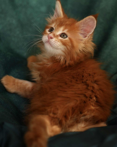 5523922B-5E6C-4D47-9D4F-CFEA6EAA8B93