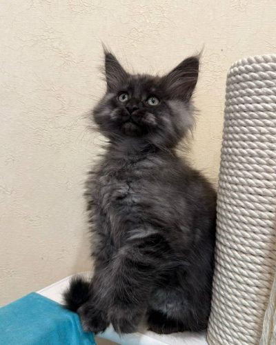 5542e02b-f80c-4314-a772-aafb70c98622