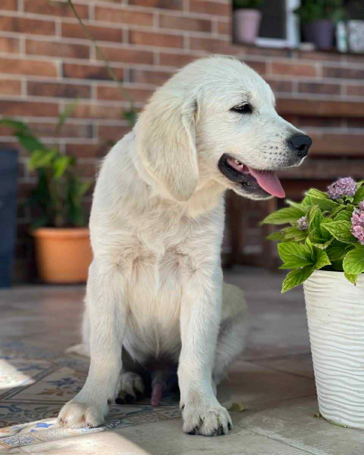 560819B0-C795-41F3-BD72-ABDF220FD6FE