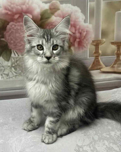 56A791D9-6ABD-4DB6-AB58-2E0750395A7D