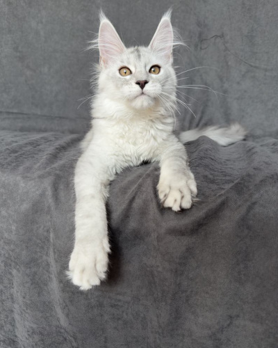 57469C35-AAC7-4394-B91D-A5117B03CF6C