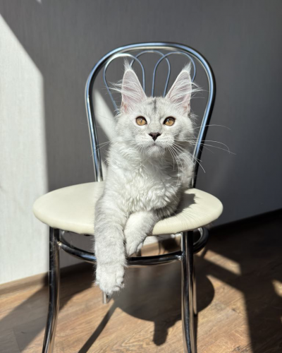 57AE8150-F9AC-4F12-83A7-3283BB50D222