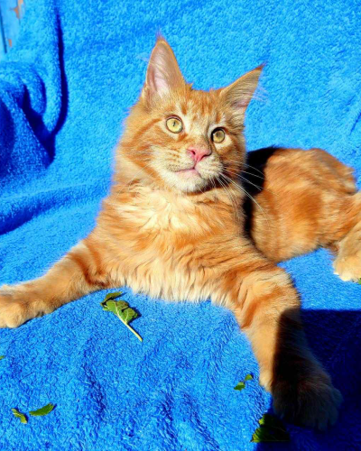 5818F793-72EC-47E4-8798-1675BCA6FB15