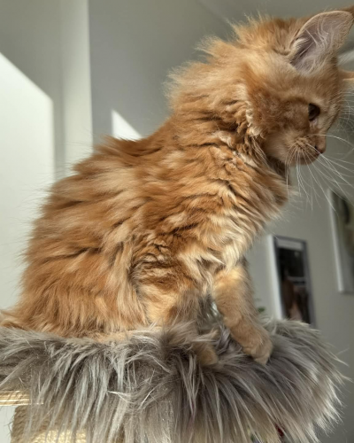 586AFB24-27A3-43E7-855E-D680753AFA7D