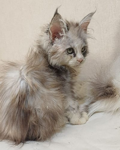 58ed4716-bbc2-4ce9-96db-a4932c80b490