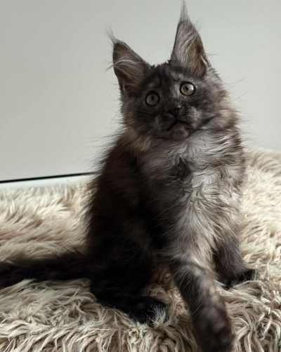 590E4ECC-C3F1-49A6-A973-84BDFB42E063