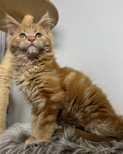 5AF9469B-23CB-4616-B521-FD4DE6348CD9