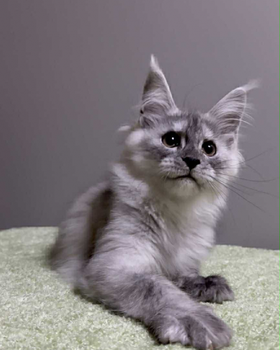 5AFE9D4A-449F-419F-92C6-4AFC88B2A706