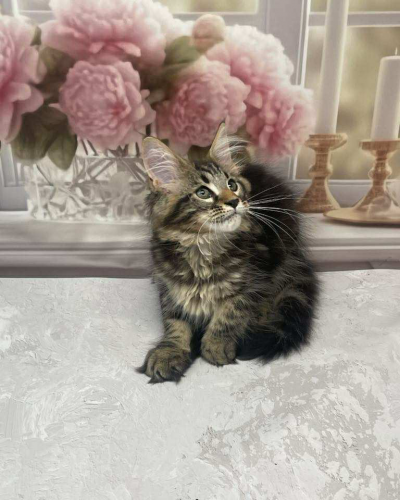 5B1AE42C-4B05-47F0-B63E-34C05F0631FD