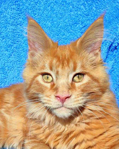 5B461910-1DC0-4272-AE01-D157BC8AEE74