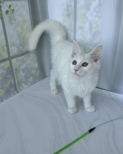 5C1FE909-402E-4A14-A60F-F81D0AEB35EC