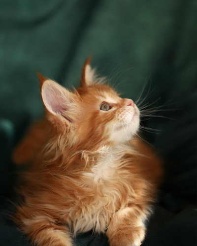 5DDAD9CC-65BA-4970-ABE8-595F259A8CBE