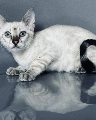 5DE4A48C-1D9A-4D6A-9444-D3EA0DCF184B