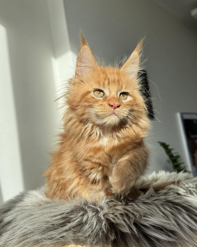 5DE62252-5381-4AE4-B6B4-D5E0F1202CE5