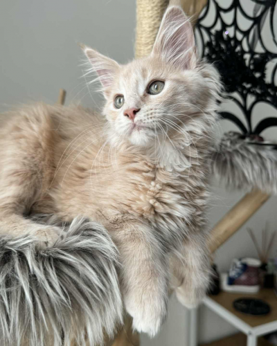 5E2209EA-BE97-4938-9C71-D77E720A5637