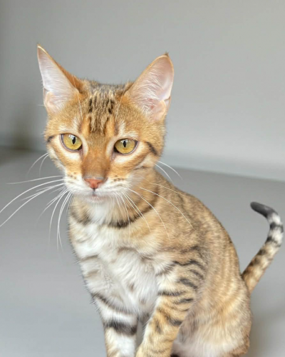 5EB3D3E0-AB99-4E40-86A5-8F1A36B715E7