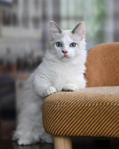 5F9D2D58-668A-4A61-BD54-E726BFF13EAE