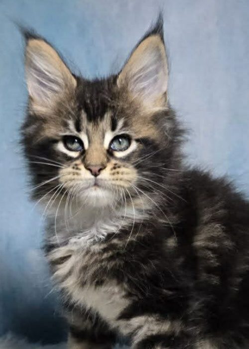 5aafa611-55da-4232-87cf-11239f325aa3