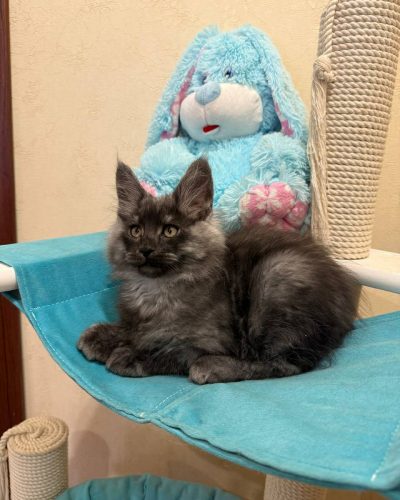 5d179773-1b84-4b3a-a7d9-3b8754137111