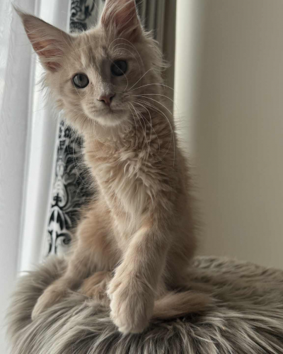 620DAD4C-82DF-45AA-88E3-5F29B8929240