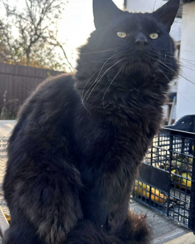 62872109-1302-4B0A-A1D9-8B28BB052736