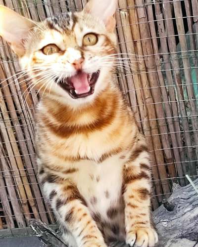 628F5F61-7D5A-41A4-8DC4-6EC73B3613F3