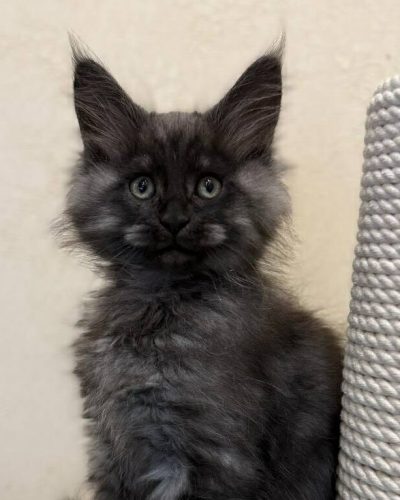 6310e8c1-17ec-4846-ba29-a5bc440270bf