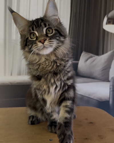 638268AB-D67C-49A7-AEB7-33B2D011C98E