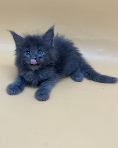 63FF0DCE-2CD9-4130-B746-5AA95FCF0007