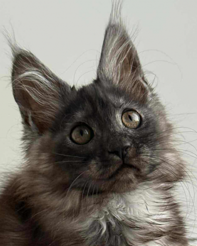 64191331-B72C-411D-968E-F7842482F442