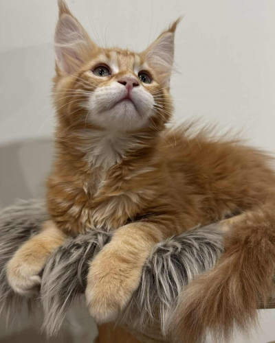 64C9A8F3-28B2-4E05-A01C-976A6623EF0E