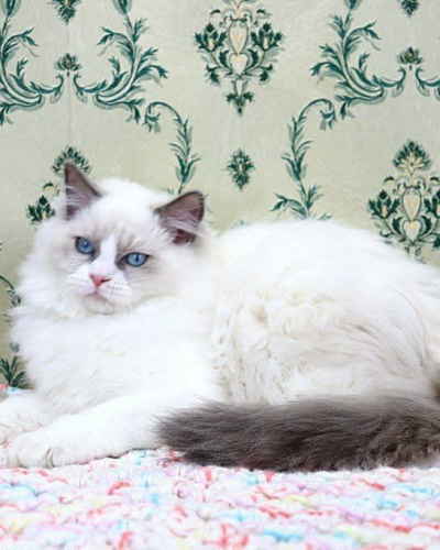 6568FAA4-7F71-4CC1-AA23-A6975D8B13BD