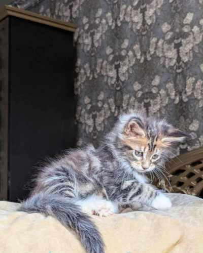 66BDC63E-19AC-4F4F-A317-CDDFA5137B5D