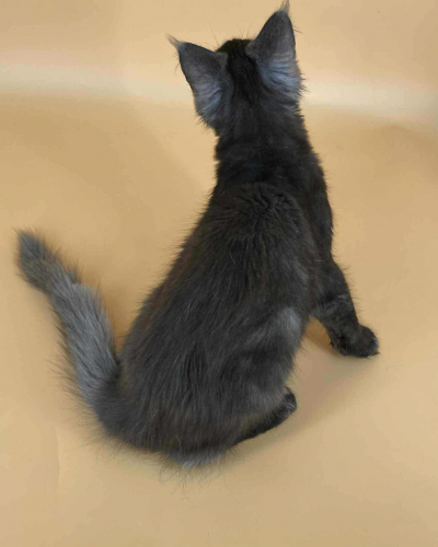 68C5D88F-E986-475D-AD03-9C2E3B5D047A