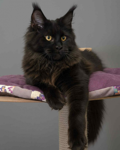 690C2832-1BC9-458D-A22A-F09CA598E46B