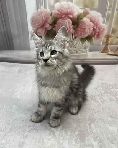 693C1A72-4E24-4E84-BD8D-2513CC7B16D5