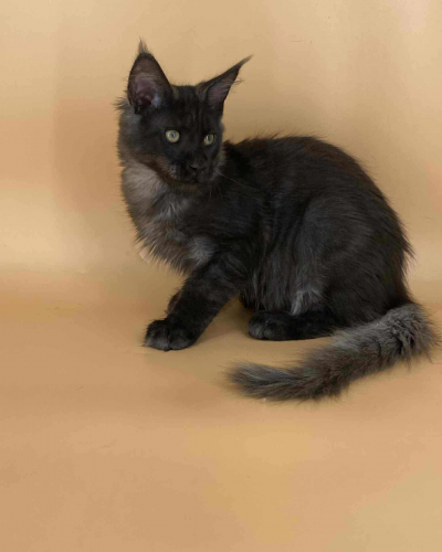 6A594892-4C31-4E64-AFBE-DB47DD1110F0