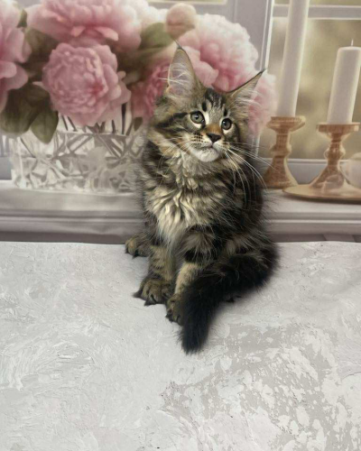 6B0C0F83-DFD1-4E33-AFB0-C0BDB5D468CE